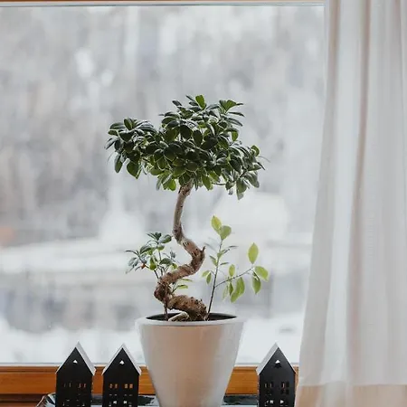 Kolp Apartment