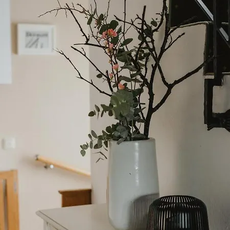Kolp Apartment *